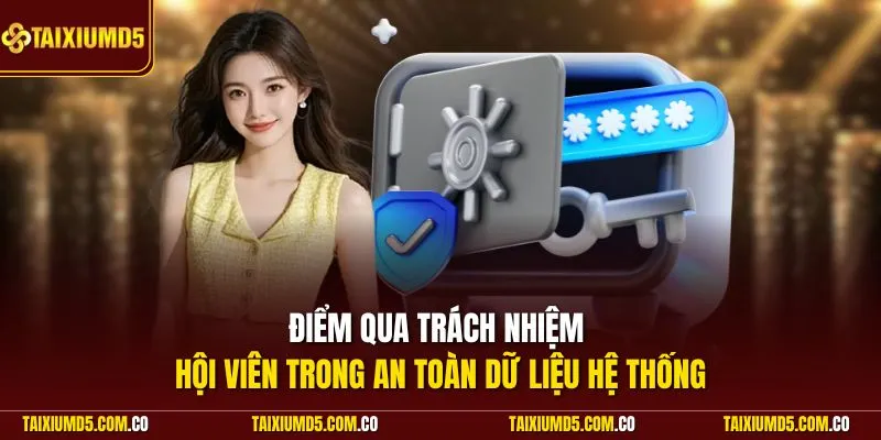 Điểm qua trách nhiệm hội viên trong an toàn dữ liệu hệ thống