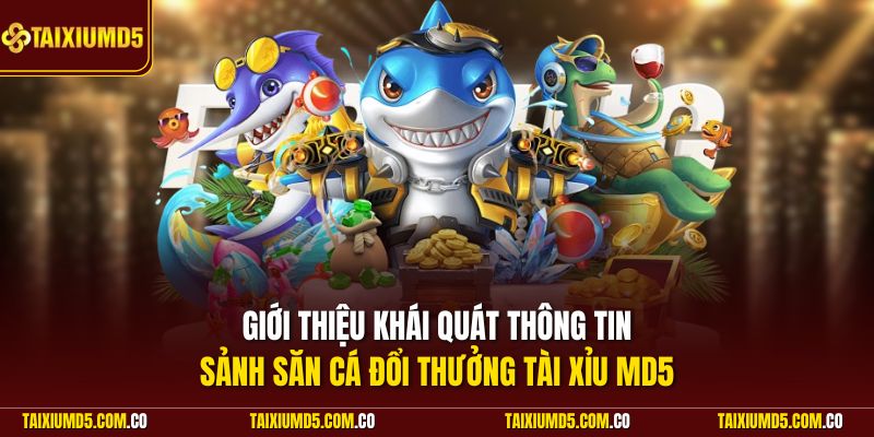 Giới thiệu khái quát thông tin sảnh săn cá đổi thưởng Tài Xỉu MD5
