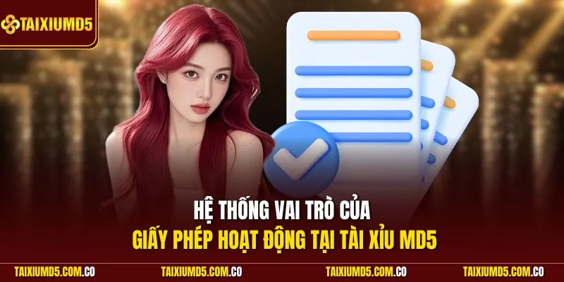 Hệ thống vai trò của giấy phép hoạt động tại Tài Xỉu MD5