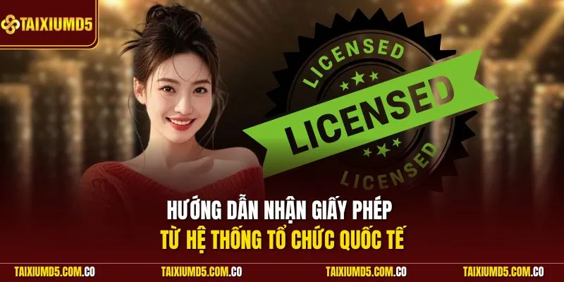Hướng dẫn nhận giấy phép từ hệ thống tổ chức quốc tế