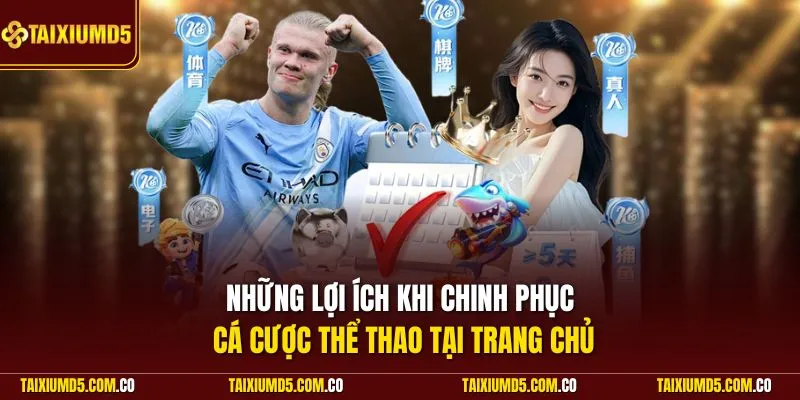 Những lợi ích khi chinh phục cá cược thể thao tại trang chủ