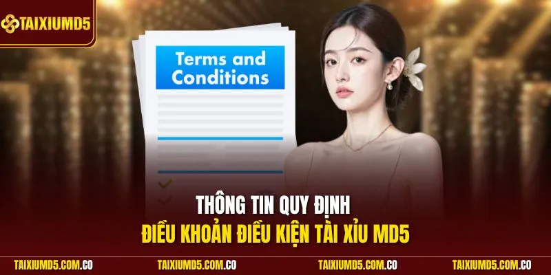 Thông tin quy định điều khoản điều kiện Tài Xỉu MD5