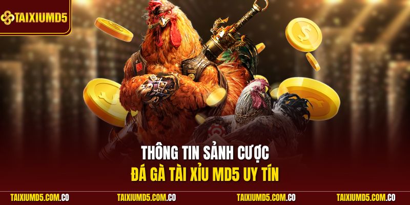 Thông tin sảnh cược đá gà Tài Xỉu MD5 uy tín